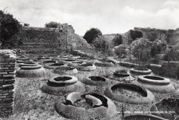 CARTE PHOTO,FOTO,italie,italia,LATIUM,LAZIO,ROME,ROMA,OSTIE,OSTIA - Autres & Non Classés