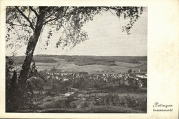 Luxemburg, PETINGEN PÉTANGE, Gesamtansicht (1920s) Postcard - Pétange