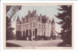 SALBRIS - Le Château De La Sauldre - Salbris