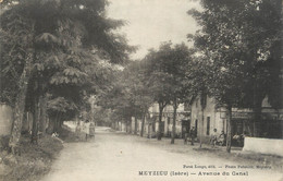 .CPA  FRANCE 69 " Meyzieu, Avenue Du Canal" - Meyzieu