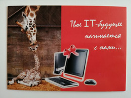 KAZAKHSTAN..ADVERTISING  POSTCARD ''TIME'.. GIRAFFES - Girafes