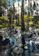 Delcampe - 09 - Pamiers - Le Parc De L'Hôtel De Ville - Pamiers