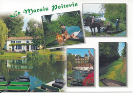 CPM  France   Le Marais Poitevin  La Venise Verte  Vue Multiple 5 Vues - Pays De La Loire