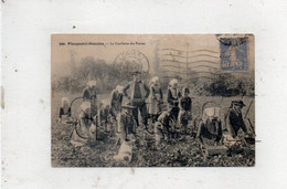 Plougastel-Daoulas (29) : La Cueillette Des Fraises Métier Agricole Env 1938 (animé) PF. - Plougastel-Daoulas
