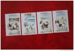 Honden Hunde Dogs Chien NVPH 1030-1033 1993 MNH POSTFRIS NEDERLANDSE ANTILLEN  NETHERLANDS ANTILLES - Curaçao, Antille Olandesi, Aruba