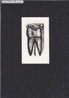 Delcampe - EX-Libris - TEETH By Gerard Schelpe (D) 1959 - Dental Tools And Services - Ex-libris