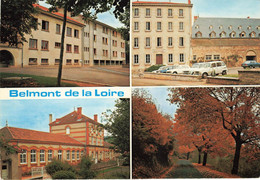 BELMONT DE LA LOIRE - Belmont De La Loire