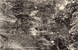 LLANDRINDOD WELLS AT THE ALPINE BRIDGE OLD B/W POSTCARD WALES - Radnorshire