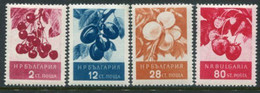 BULGARIA 1956 Fruits II MNH / **.  Michel 990-93 - Unused Stamps