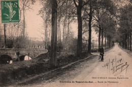 Environs De Nogent-le-Roi (Eure-et-Loir) Route De Maintenon Au Pont De L'Ecluse, Cycliste - Edition G. Andrieux - Other & Unclassified