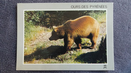 CPM OURS BRUNS PYRENEES ED ARTPYR  1992 - Ours