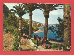 Delcampe - C.P.M.( 20 ) « BASTIA » Groupe Folklorique "I MACCHIAGLIOLI " ERBALUNGA - Jolie Vue Générale    X2 Phots - Bastia