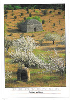 84 - PROVENCE - Cerisiers En Fleurs - Borie - Ed. Sté PEC - 1999 - Non Classificati