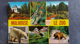 ZOO DE MULHOUSE HT RHIN 68 OURS BLANC OURS BRUN FLAMANTS ROSES PERROQUETS  ED ESTEL - Ours