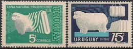 URUGUAY - COMPLETE SET SHEEP WOOL INDUSTRY 1971- MNH - Farm