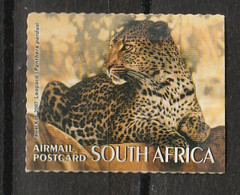 South Africa 2007 - Big Five - Leopard - Roofkatten