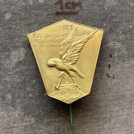 Badge Pin ZN010215 - Gymnastics Sokol Czechoslovakia Zupa Podripska Roudnice 1925 - Gymnastique