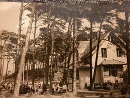 AK Hiddensee, Ferienheim "Zum Klausner" Auf Dem Dornbusch - 1962 - Hiddensee