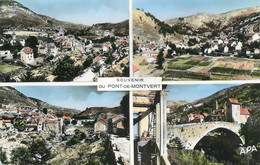 .CPSM  FRANCE 48 "Pont De Montvert, Vues" - Le Pont De Montvert