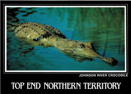 Johnson River Crocodile, Northern Australia - Unused - Zonder Classificatie