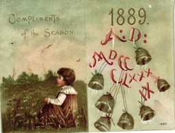 1 Calendrier 1889 Compliments Of The Saison The Fidelity & CasualtyC° Brodway New York Insurance - Tamaño Pequeño : 1901-20