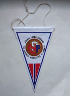 Norway Football Federation Pennant - Other & Unclassified