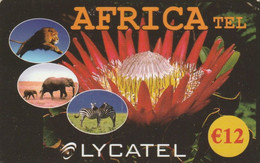 Netherlands, NL-PRE-LYC-0024B,  Africa Tel, Lion, Elephant, Zebra, 2 Scans. - Altri & Non Classificati