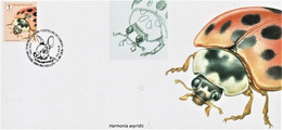 Maximumkaart "Harmonia Axyridis" (Marijke Meersman) - 2011-..