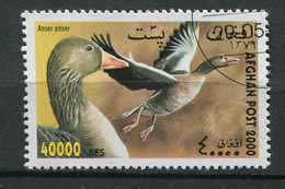 (CL 14 - P.53. Lot 2) Afghanistan Ob - Oiseaux : Oies - Ganzen
