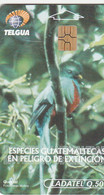 Guatemala - Parrot - Quetzal - Guatemala