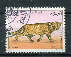 (CL 14 - P.54) Algerie Ob N° 858 - Chat Des Sables - - Altri & Non Classificati