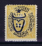Turkey: Mi 505   Isf 740 1917 Oxhead MH/* Mit Falz, Avec Charnière  Signed/ Signé/signiert/ Approvato - Unused Stamps