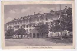 Charmey, Hôtel Du Sapin, Animation - Charmey