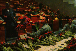 AALSMEER  Centrale Aalsmeerse Veiling  Veilen Van Snijbloemen - Aalsmeer