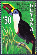 Guyana 1993 MNH, Birds, White-throated Toucan - Cuckoos & Turacos