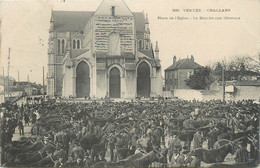 .CPA FRANCE 85 " Challans, Place De L'église, Le Marché Aux Chevaux" - Challans