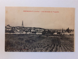 CPA - 21 - MEURSAULT - Vue Générale Et Vignoble - Meursault