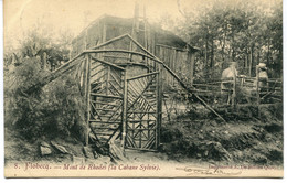 CPA - Carte Postale - Belgique - Flobecq - Mont De Rhodes - La Cabane Sylvie  - 1905 (AT16583) - Flobecq - Vlösberg