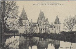 44  Bouaye  -  Chateau Du Bois De La Noe - Bouaye