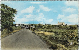 44  Bourgneuf   En Retz -  Route De Pornic , Vue Generale - Bourgneuf-en-Retz