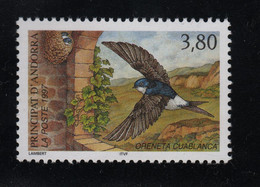 Hirondelle à Queue Blanche  (Delichon Urbicum), Oreneta Cuablanca, **, - Golondrinas