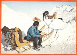 GREENLAND 01, * REST On The SLEDGE TRIP *  UNUSED - Greenland