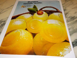 ANCIENNE PUBLICITE NOUVELLE RECOLTE ORANGINA 1969 - Poster & Plakate