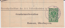 Österreich Austria Privatganzsache Polizei 20 H Wien 1920 (3) - Postwaardestukken