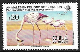 Chili - MNH ** 1985 :    James's Flamingo  -  Phoenicoparrus Jamesi - Flamants