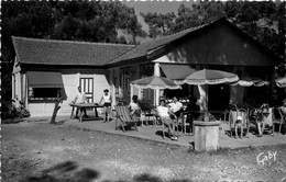 Ile D'oléron * St Trojan * Auberge Des Gaules * Tennis De Table * Bar Restaurant - Ile D'Oléron