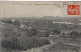 44  Le Cellier  -  Vallee De La Loire - La Varenne Et Les Coteaux D'anjou - Le Cellier