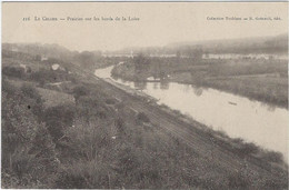 44  Le Cellier  - Prairies   Sur Les Bords De La Loire - Le Cellier