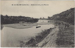 44  Le Cellier  -   Bords De  Loire Vers Mauves - Le Cellier