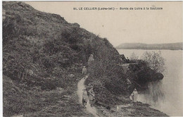 44  Le Cellier  -   Bords De  Loire A La Saulzaie - Le Cellier